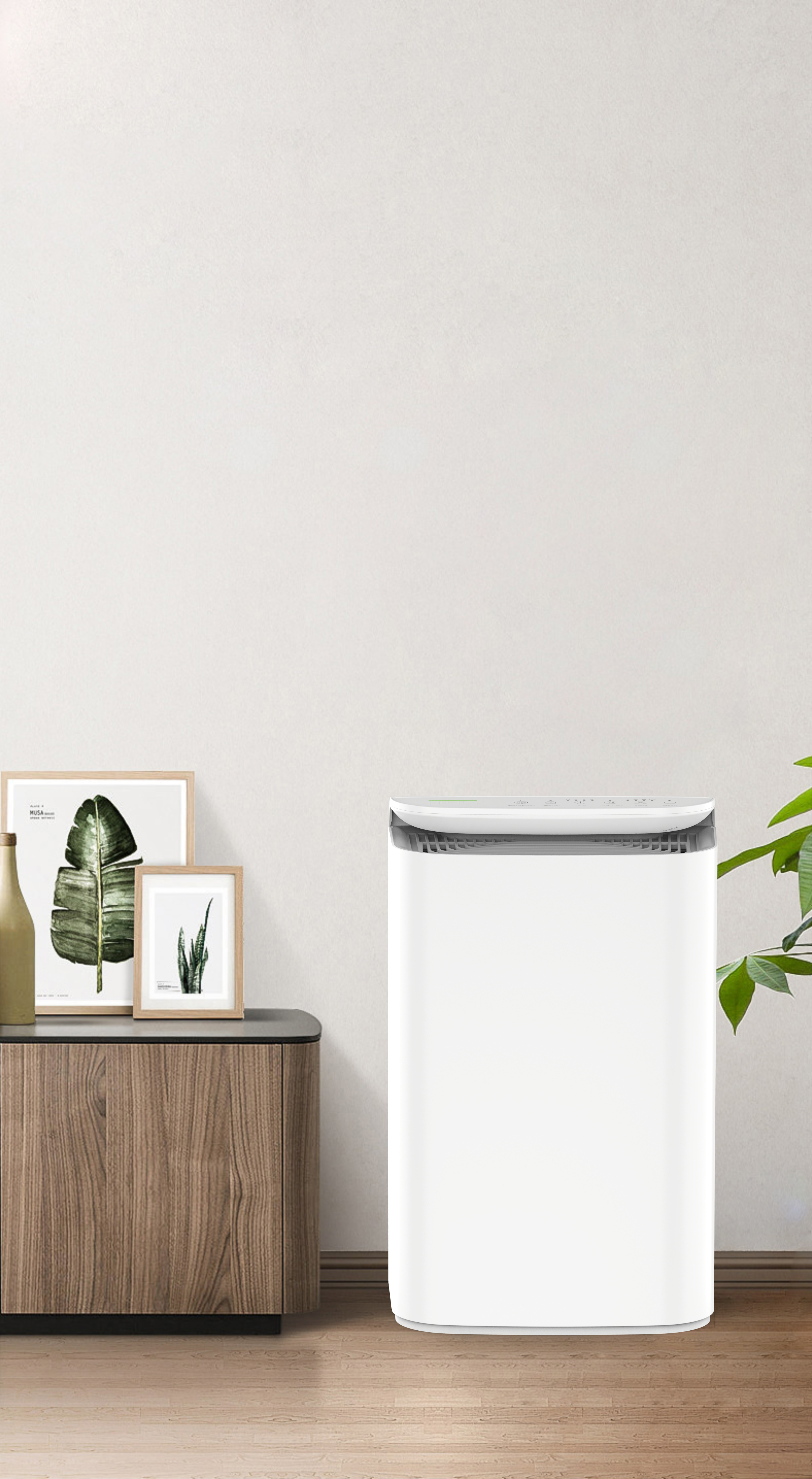 Yükseltme Anyon Teknolojisi Orman Taze Nefesi BKJ-16B