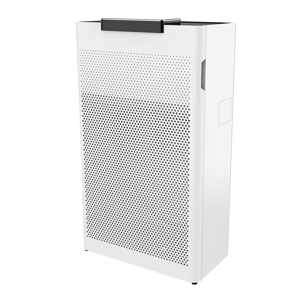 Formaldehit en iyisini kaldırın, en çok temiz havanın tadını çıkarın bkj-20g