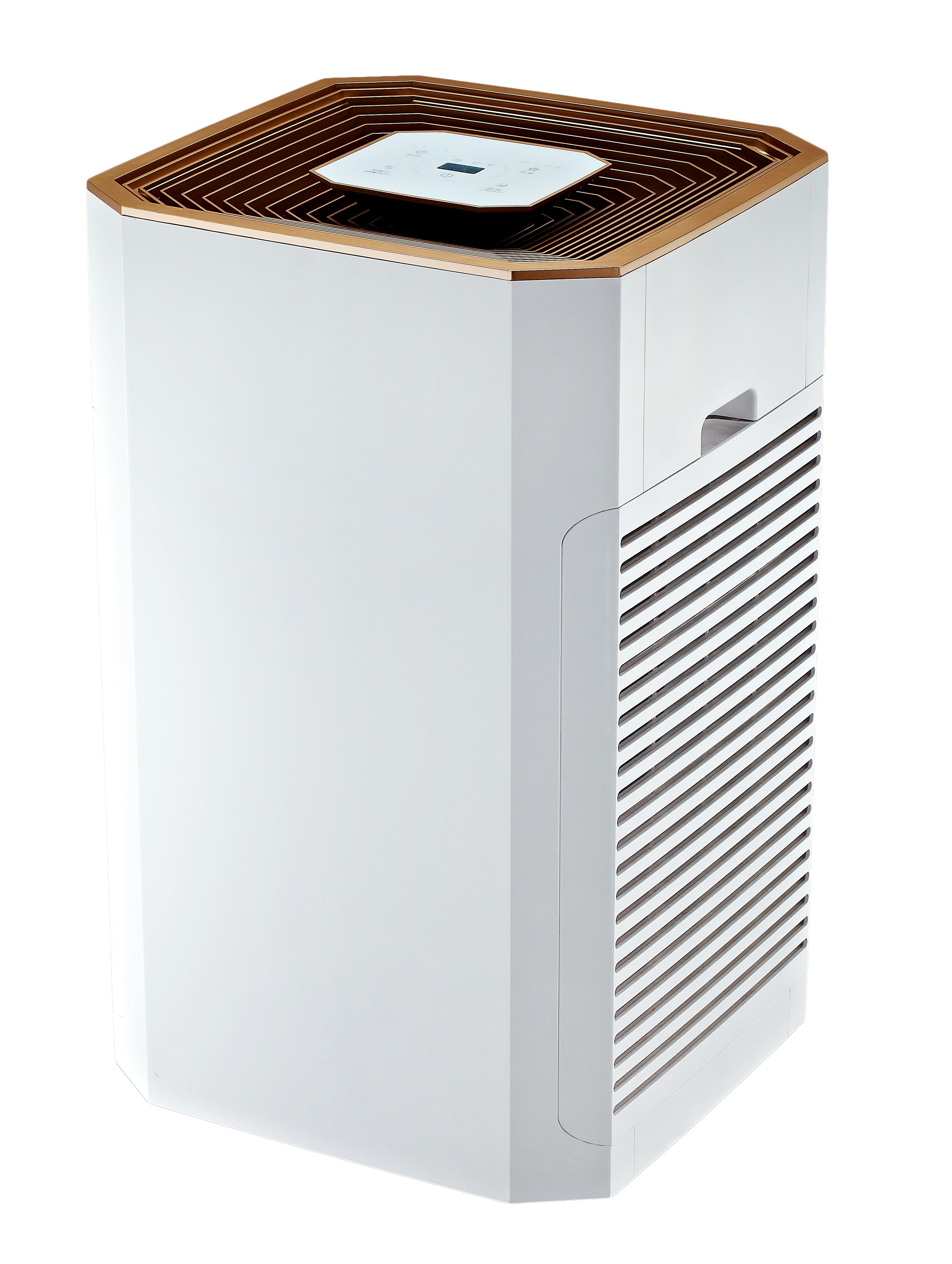 Formaldehit en iyisini kaldırın, en çok temiz havanın tadını çıkarın bkj-80b