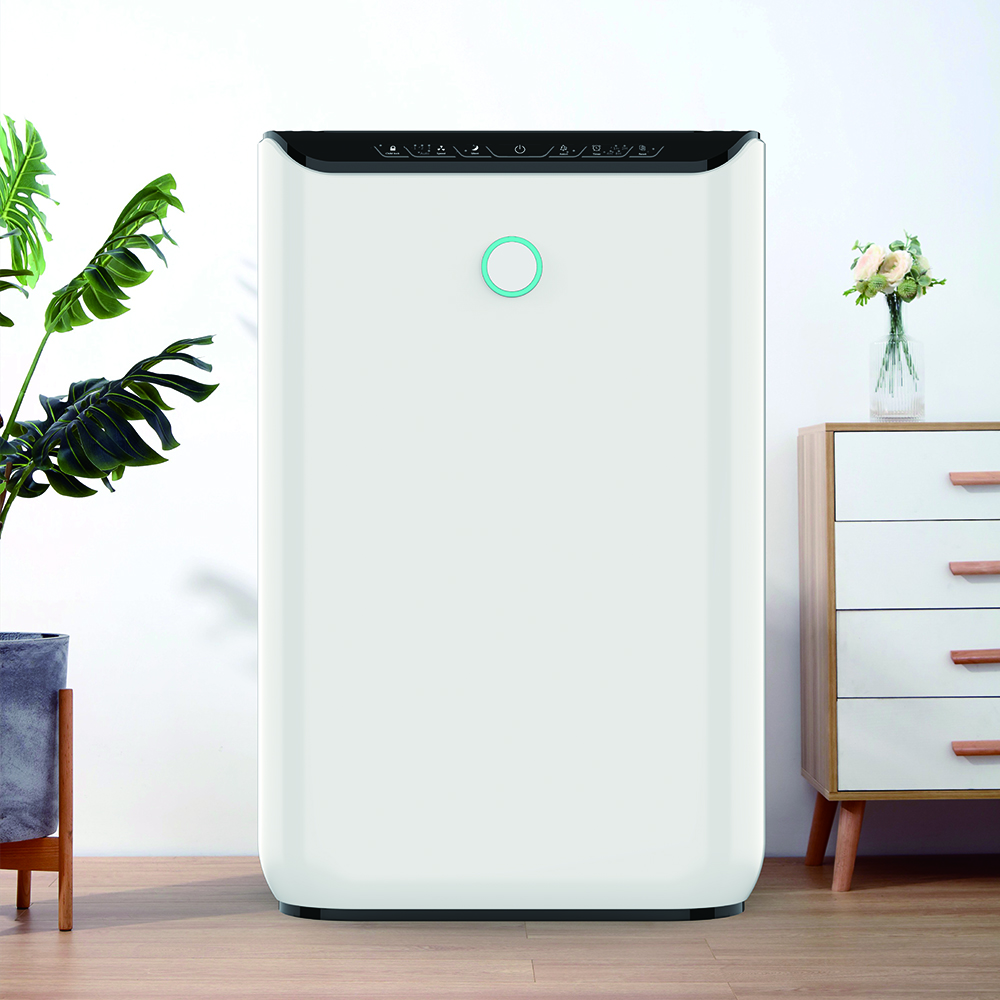 Formaldehit en iyisini kaldırın, en çok temiz havanın tadını çıkarın bkj-370