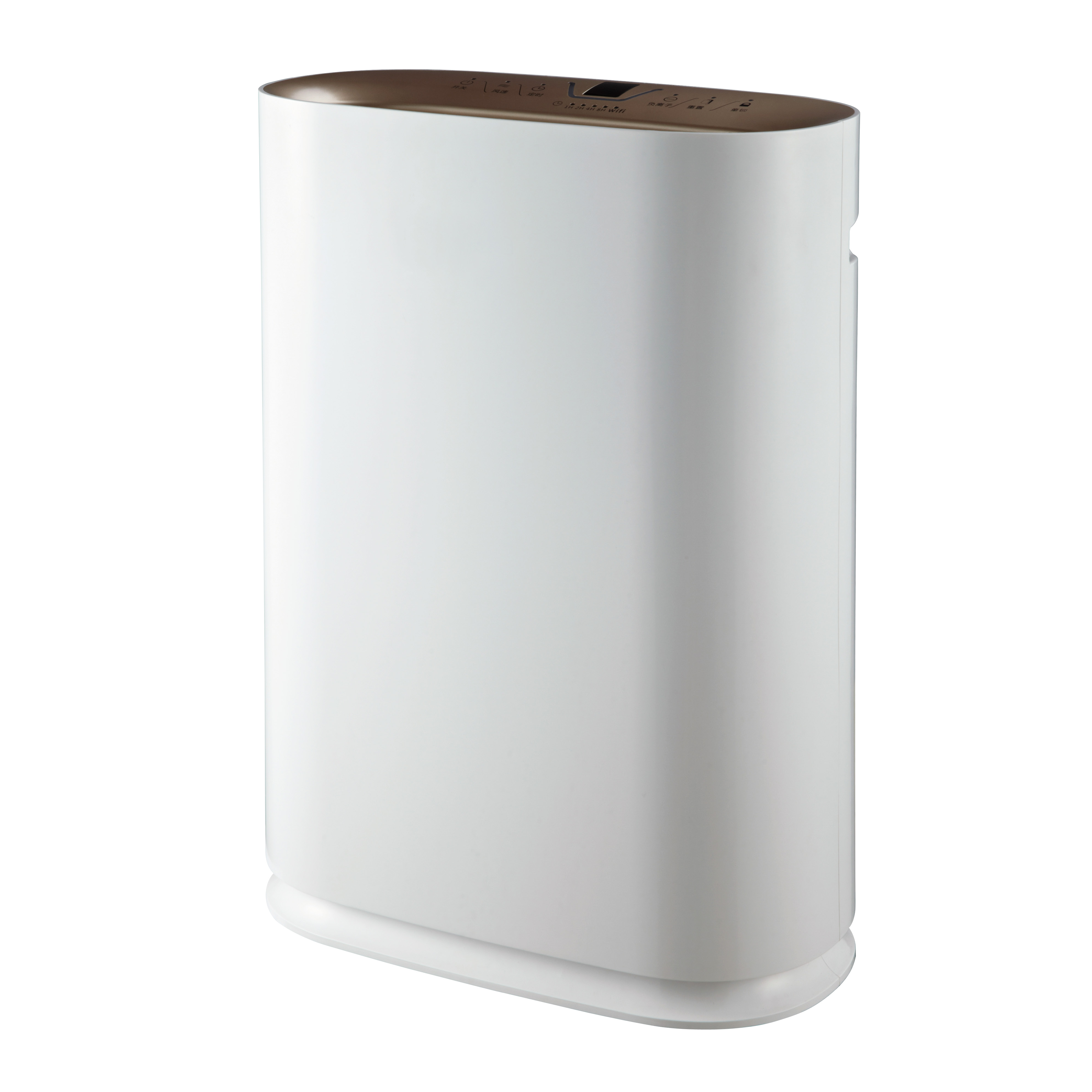 Formaldehit en iyisini kaldırın, en çok temiz havanın tadını çıkarın bkj-300